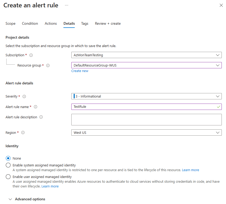 Screenshot that shows the Details tab when creating a new log alert rule.