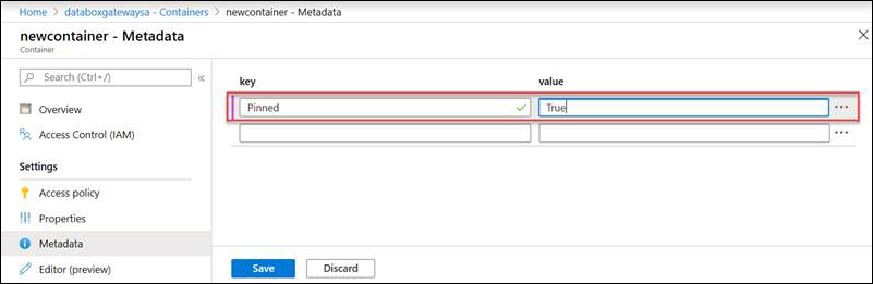 Screenshot of metadata options for automated sync for pinned files.