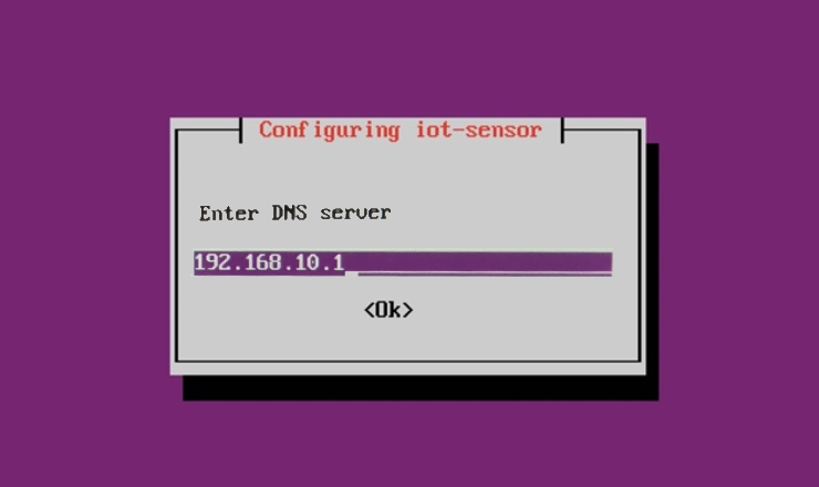 Screenshot of the Enter DNS server screen.