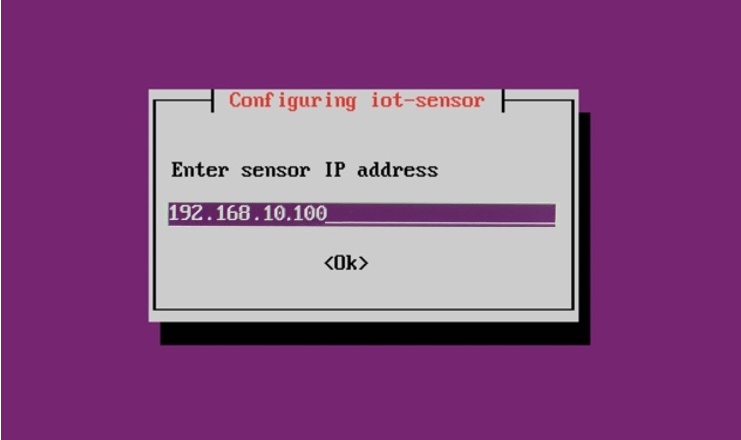 Screenshot of the sensor IP address screen.