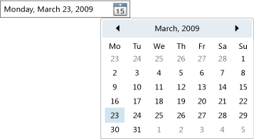 DatePicker control