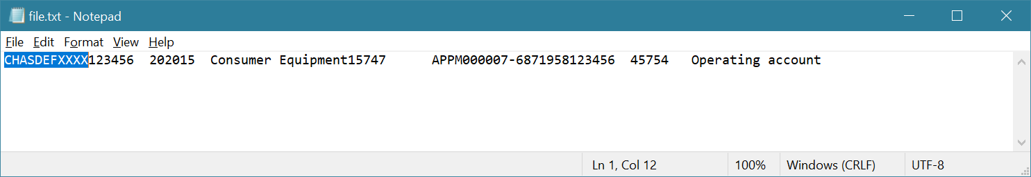 Screenshot of the payment file in TXT format used to process the vendor payment.