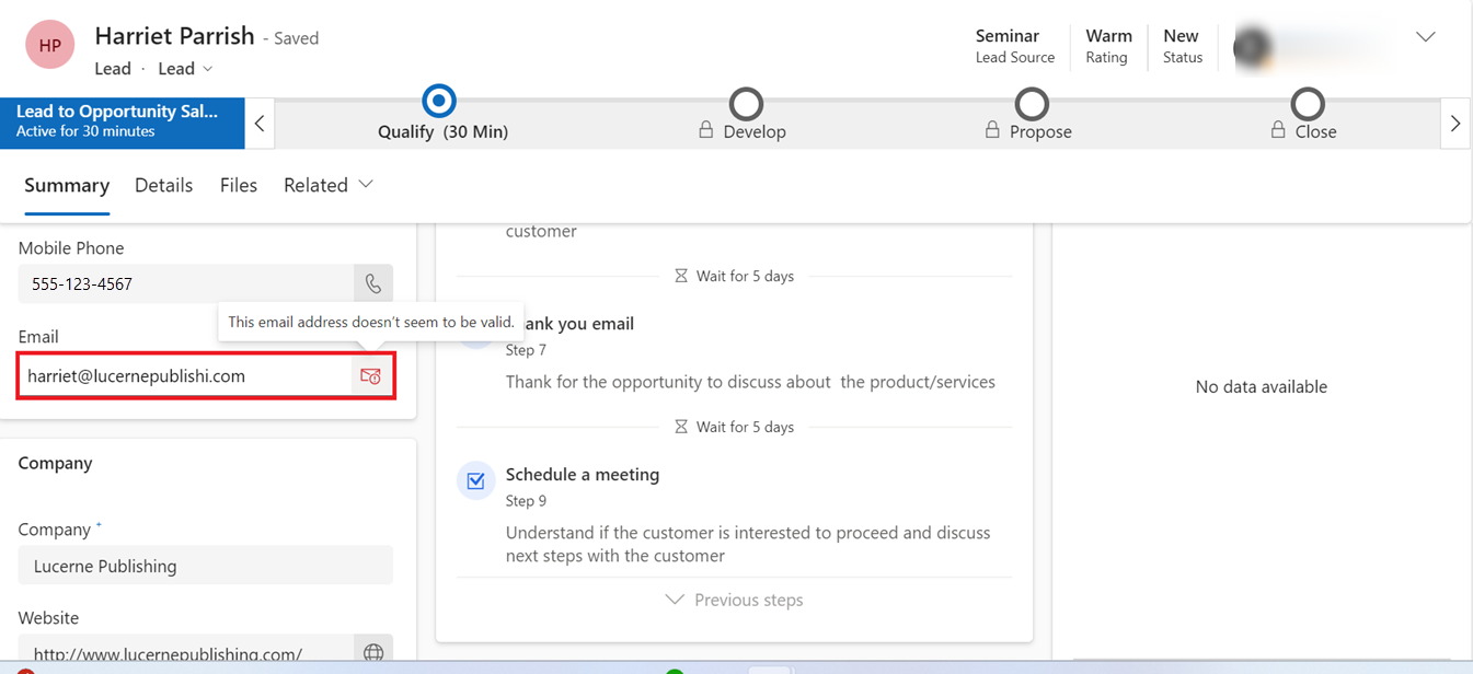 Screenshot showing an invalid email address in the primary lead entity form.