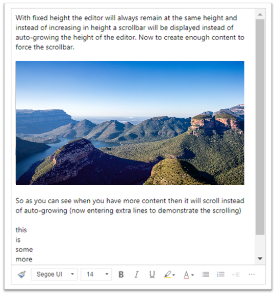 Screenshot that illustrates that with a fixed height, when enough content is added to the rich text area, a scroll bar appears.