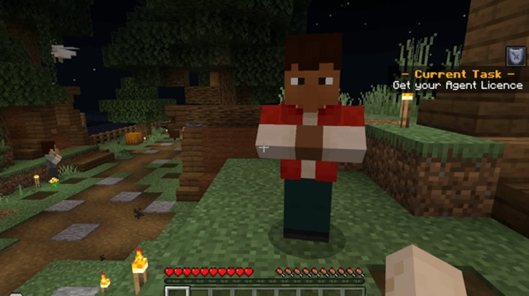 Screenshot of the Agent license coding task in Python Island 1.