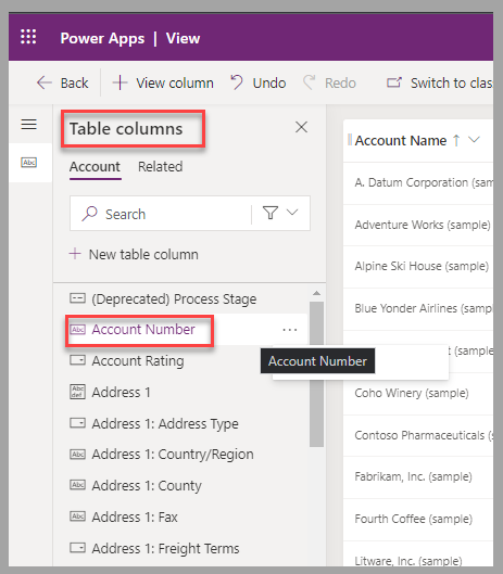 Partial screenshot of the view designer. Focus is on the Table columns section in the left pane and on Account Number in the list of available columns.