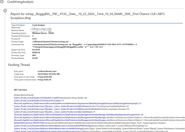 Screenshot of .NET second hand exception report detail.