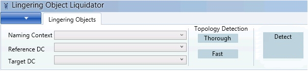 Screenshot of the Lingering Object Liquidator window with the Detect button.