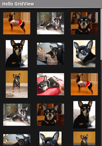 Example Grid View