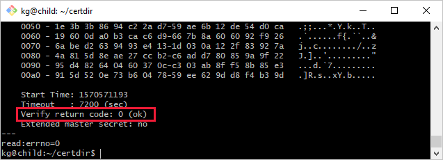 Screenshot of verifying a gateway connection.