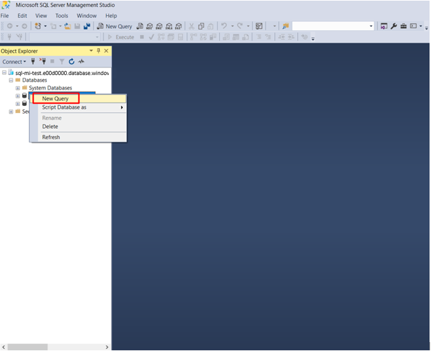 Showing screenshot of new SQL query.