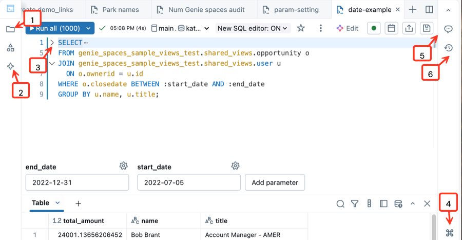 Screenshot showing the SQL editor with labeled callouts as indicated in the text.