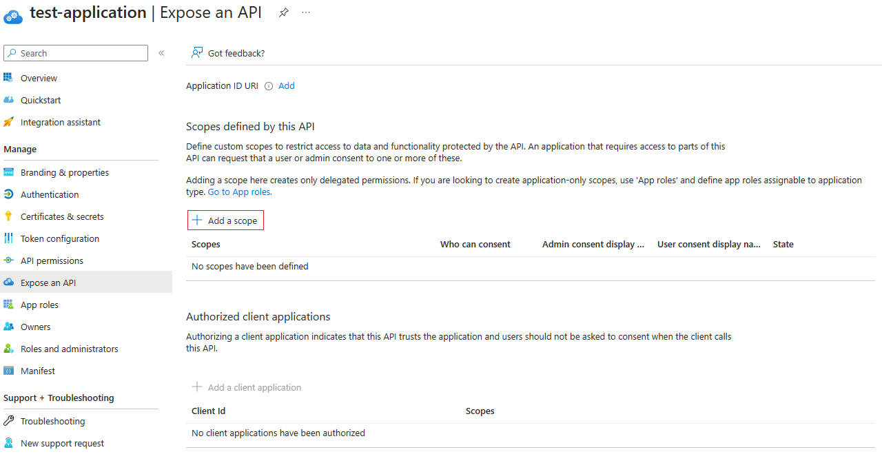 Screenshot of the Expose an API menu.