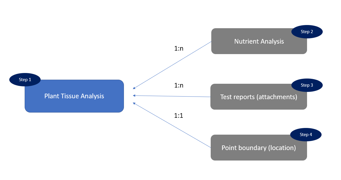 Screenshot showing entity relationships.