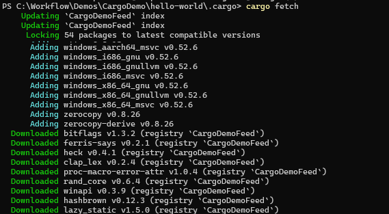 A screenshot displaying the result of the cargo fetch command.