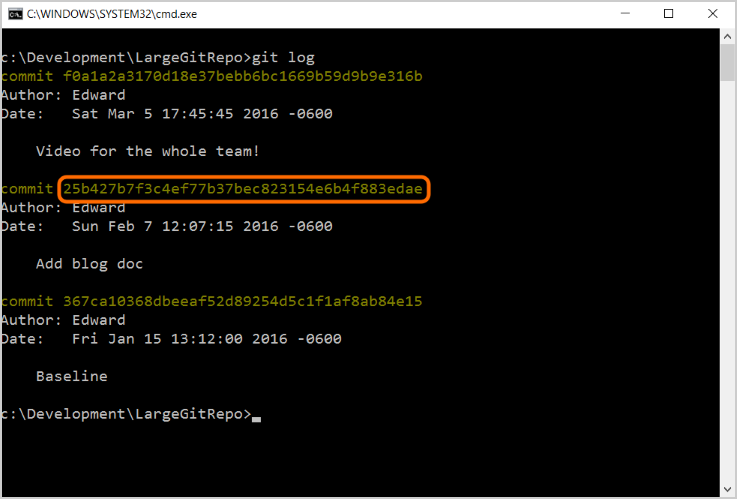 Screenshot that shows the command prompt for the video commit.