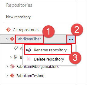 Screenshot that shows Rename repository.