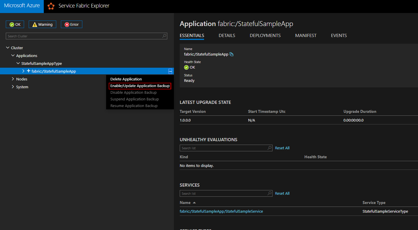 Enable Application Backup