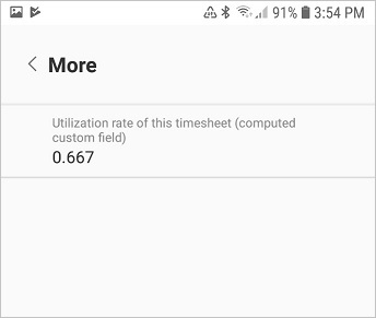 Screenshot of More section showing the utilization rate custom field.