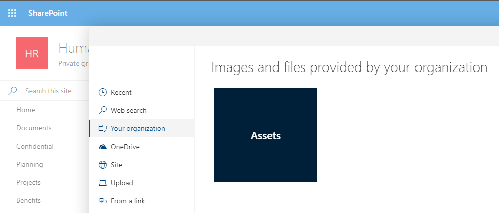 Image of a multimedia document library used as an organization asset library.