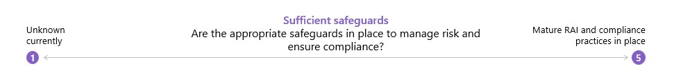 Are the appropriate safeguards in place to manage risk and ensure compliance