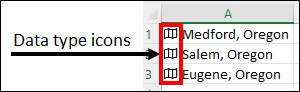 An Excel table with three data types showing the same icon next to each data type.