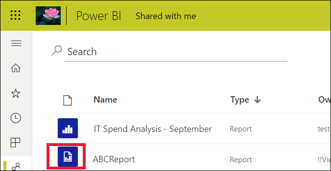 Screenshot showing the report list with one standard report and one paginated report.