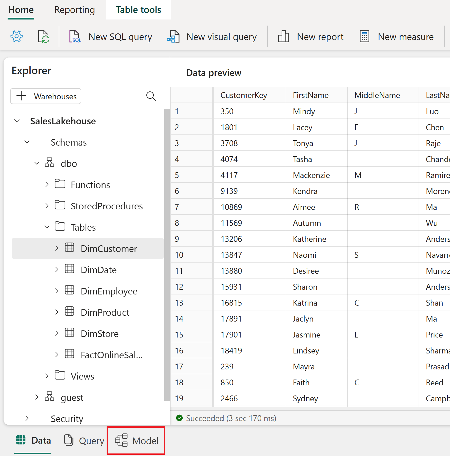 Screenshot of the Model view selection.