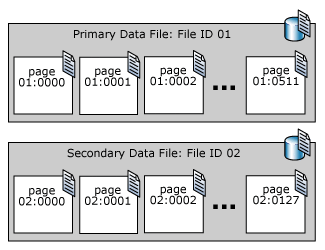 Diagram that explains data file pages in the primary and secondary data files.
