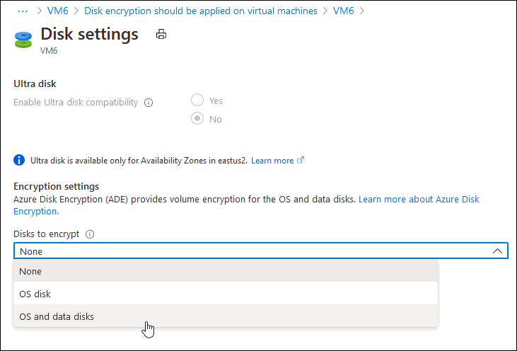 Screenshot showing an example of a virtual machines disk setting.