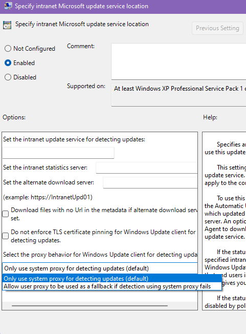 Screenshot of the Specify intranet Microsoft update service location window with Only use system proxy for detecting updates (default) selected.