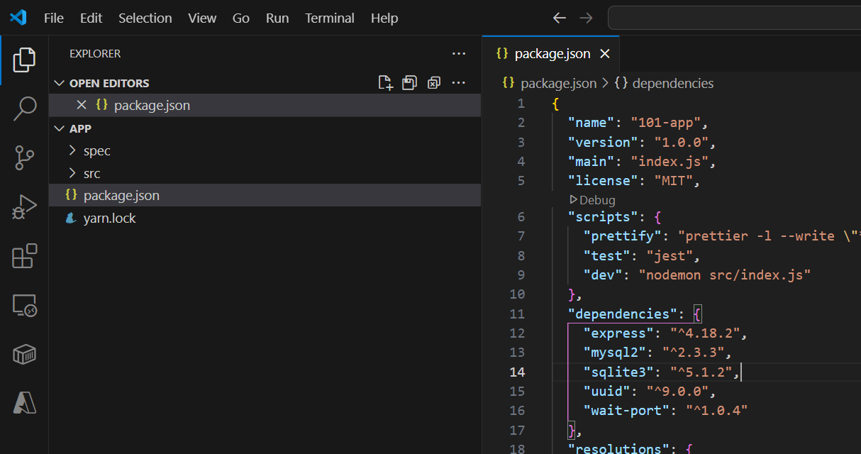 Screenshot of Visual Studio Code showing the package.json file open with the app loaded.