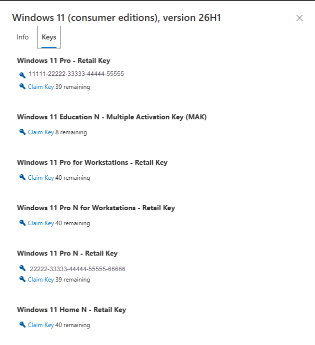 Screenshot of the Windows 11 product details page with the Keys tab selected. Windows 11 product keys