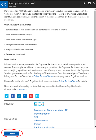 Screenshot that shows a description of the computer vision api service.