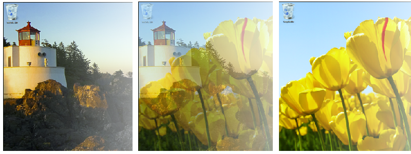 screen shot of one photo fading into another