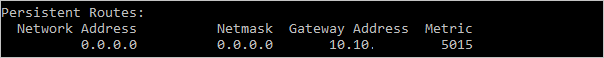 Screenshot that shows that the added route is shown as a Persistent Route with Gateway Address 10.10.11.1 and Metric 5015.