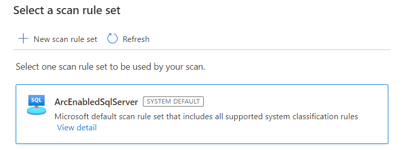 Screenshot that shows selecting a scan rule set.