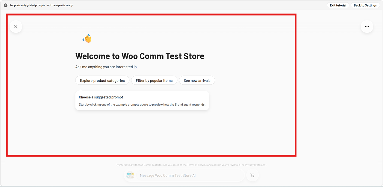 Live demo of the Brand agent on your store.