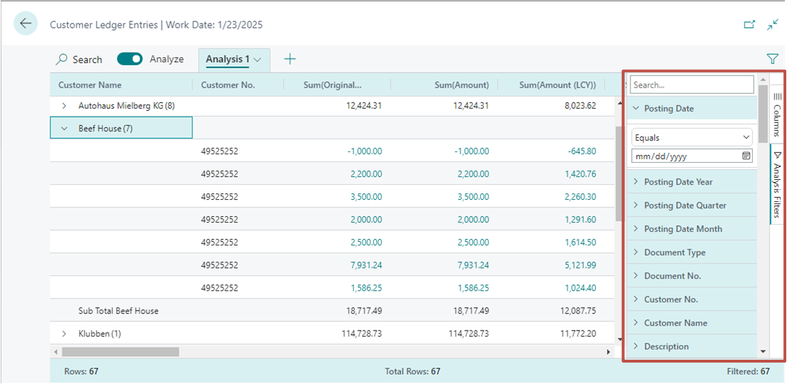 Shows an overview of the filters pane in the analysis mode