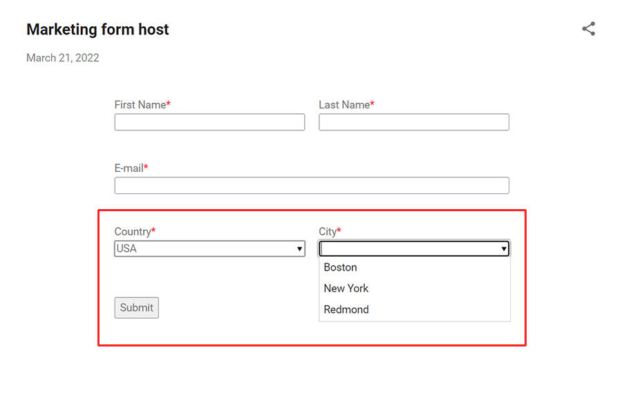 Screenshot of the finished marketing form with filtering.