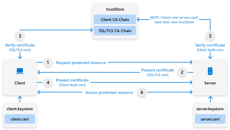 Diagram of the chain of validation process.