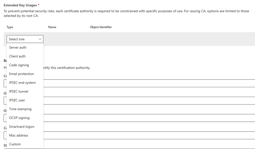 Image of the Configuration settings tab, showing the Extended Key Usages section for Cloud PKI.