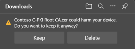 Image of Downloads prompt highlighting the keep option. 