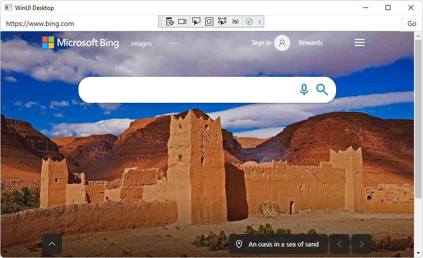 App displaying the Bing website