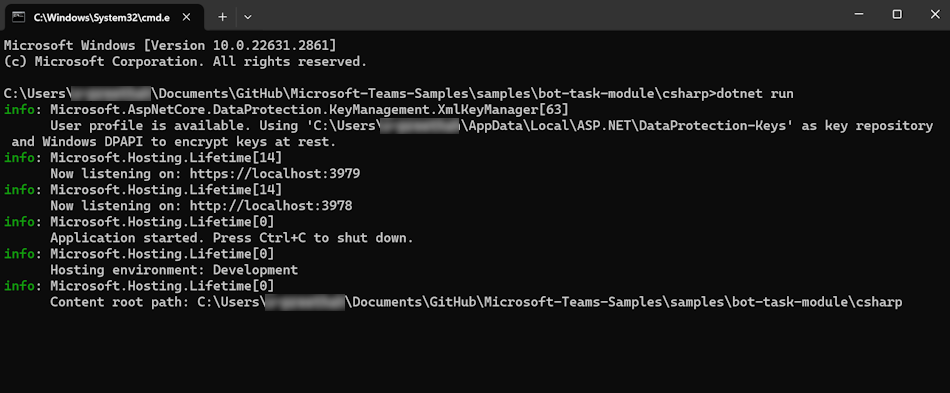 Screenshot shows the command prompt of dotnet run.