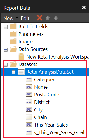 Screenshot of the fields listed under the dataset in the Report Data pane.