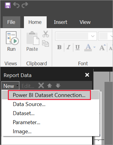 Screenshot of new dataset in the Report Data pane.