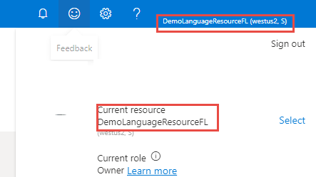Screenshot of the selected resource language.