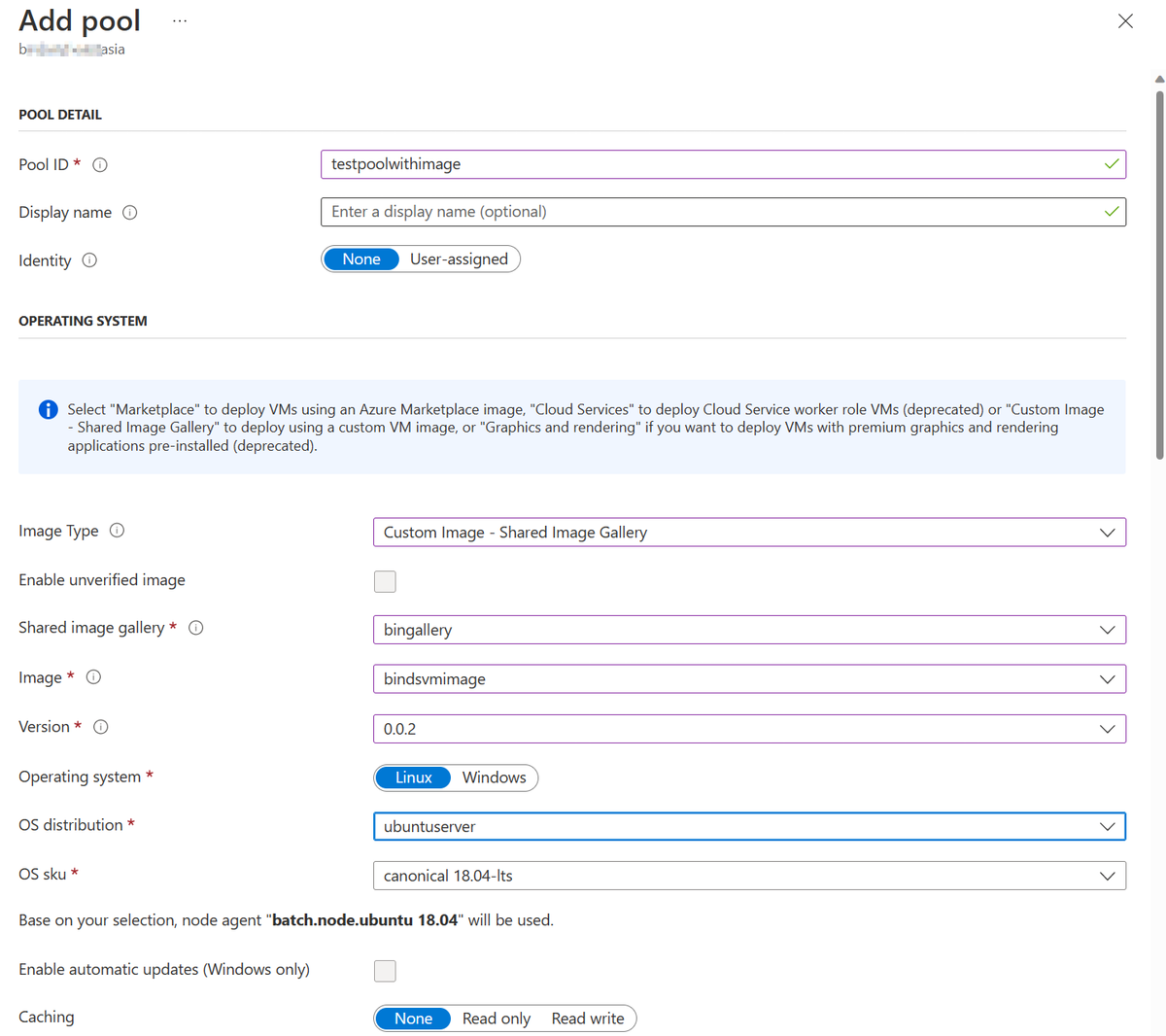 Screenshot that shows the setting of the image type and the OS SKU during pool creation.
