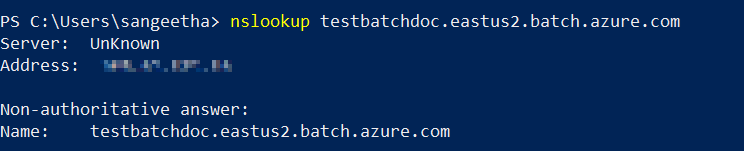 Screenshot of the first nslookup command output.